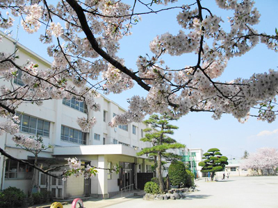 鶴嶺小学校　校舎と桜