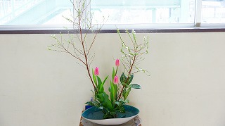 2月の花