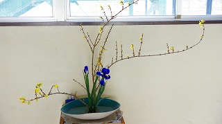 2月の花