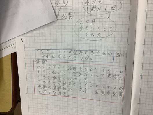 ま
