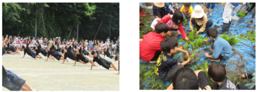 5・6 年生 運動会 「 組み立て体操 」 5 年生 田んぼ学習 「 苗取り 」