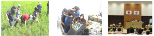 夏休みの活動より