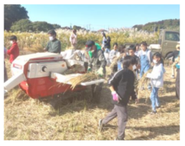 5年生 田んぼ学習 脱穀・籾摺り